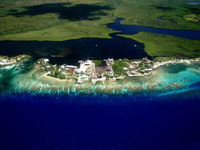Established & Operating 24 Unit PADI Licensed Beachfront Dive Resort for Sale on Utila Island, Honduras