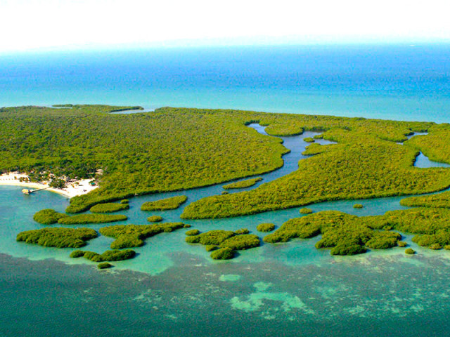 Expansive 550 Acre (222 Hectare) Mostly Untouched Private Island Conveniently Located Near Belize City