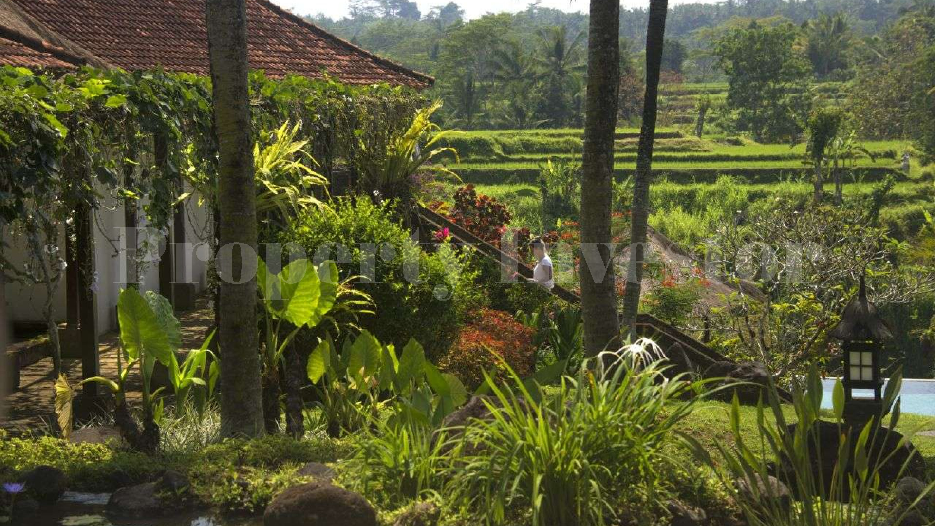 Elegant 4 Bedroom Traditional Balinese Style Luxury Villa for Sale in North Ubud, Bali