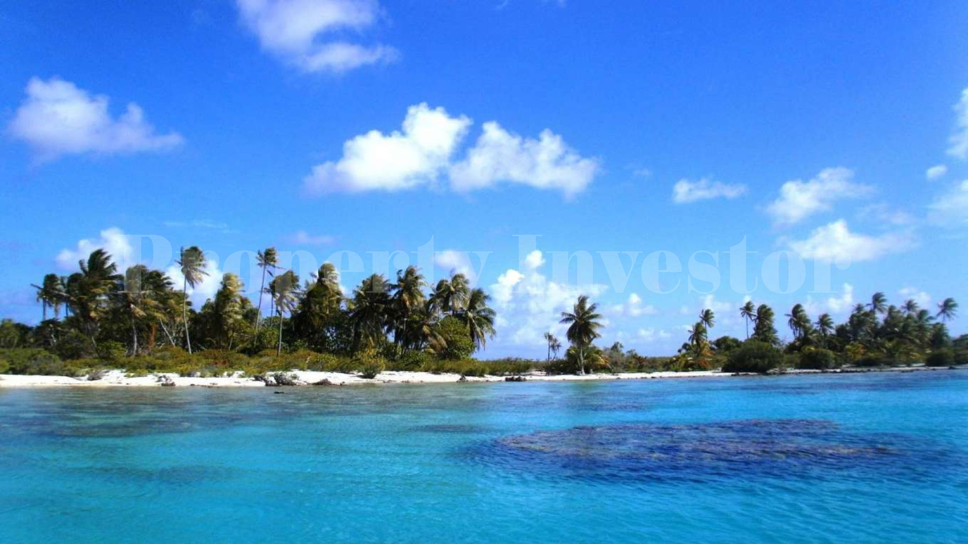 Stunning 1.4 Hectare Virgin Island for Sale in French Polynesia