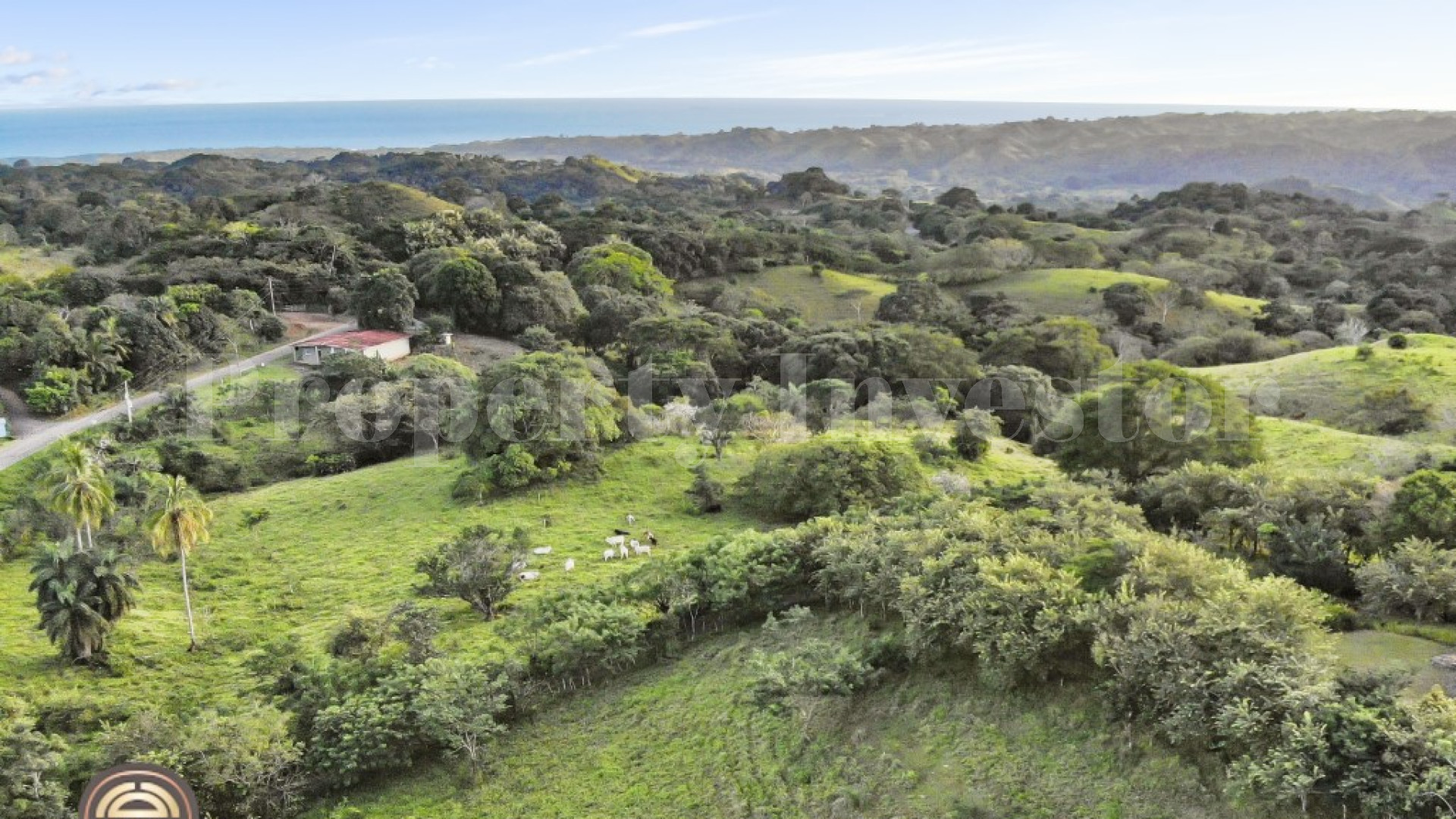 5 Hectares With Ocean View