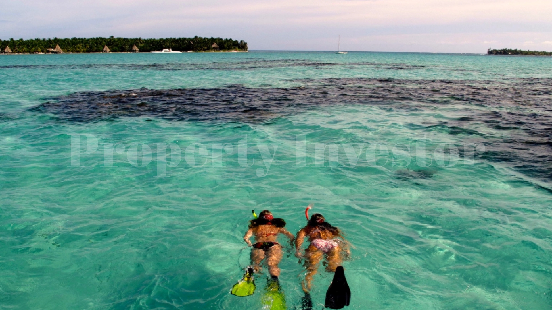 Private Island Resort & PADI 5-Star Gold Palm Dive Center for Sale on Glover's Reef Atoll, Belize