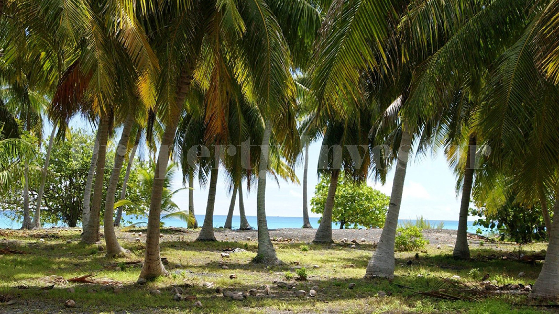 Private Virgin Island for Sale in French Polynesia