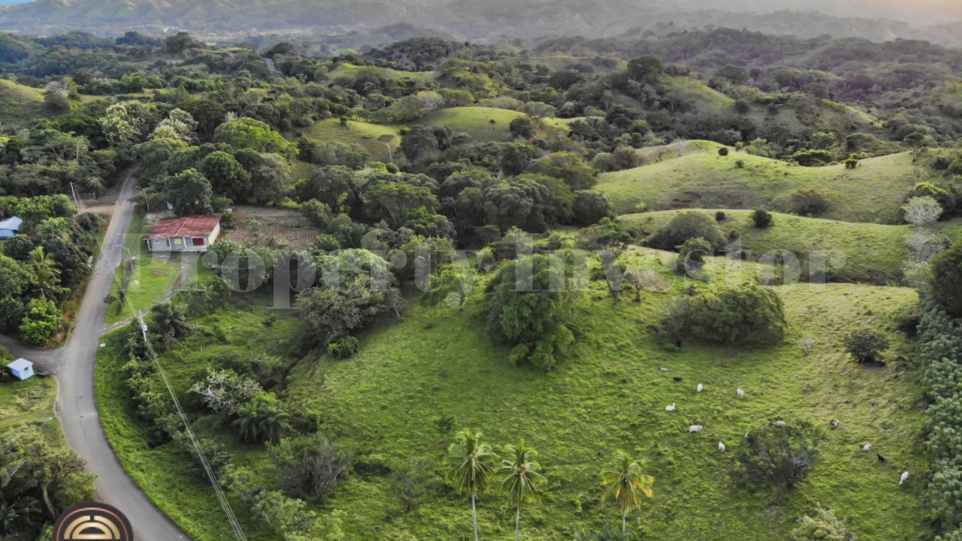 5 Hectares With Ocean View