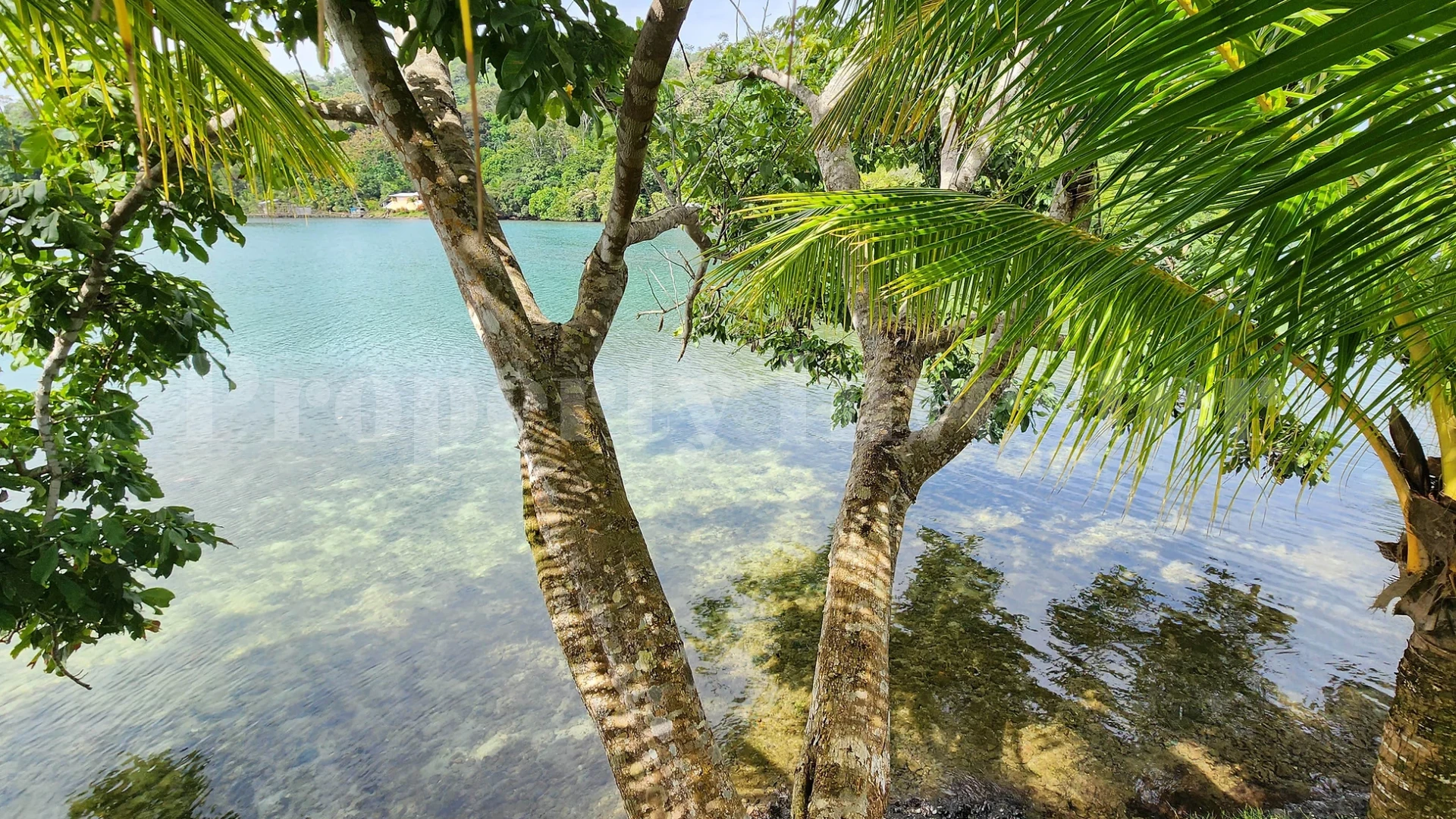 Off-Grid 3144 m² Private Tropical Eco Island in Bocas del Toro, Panama