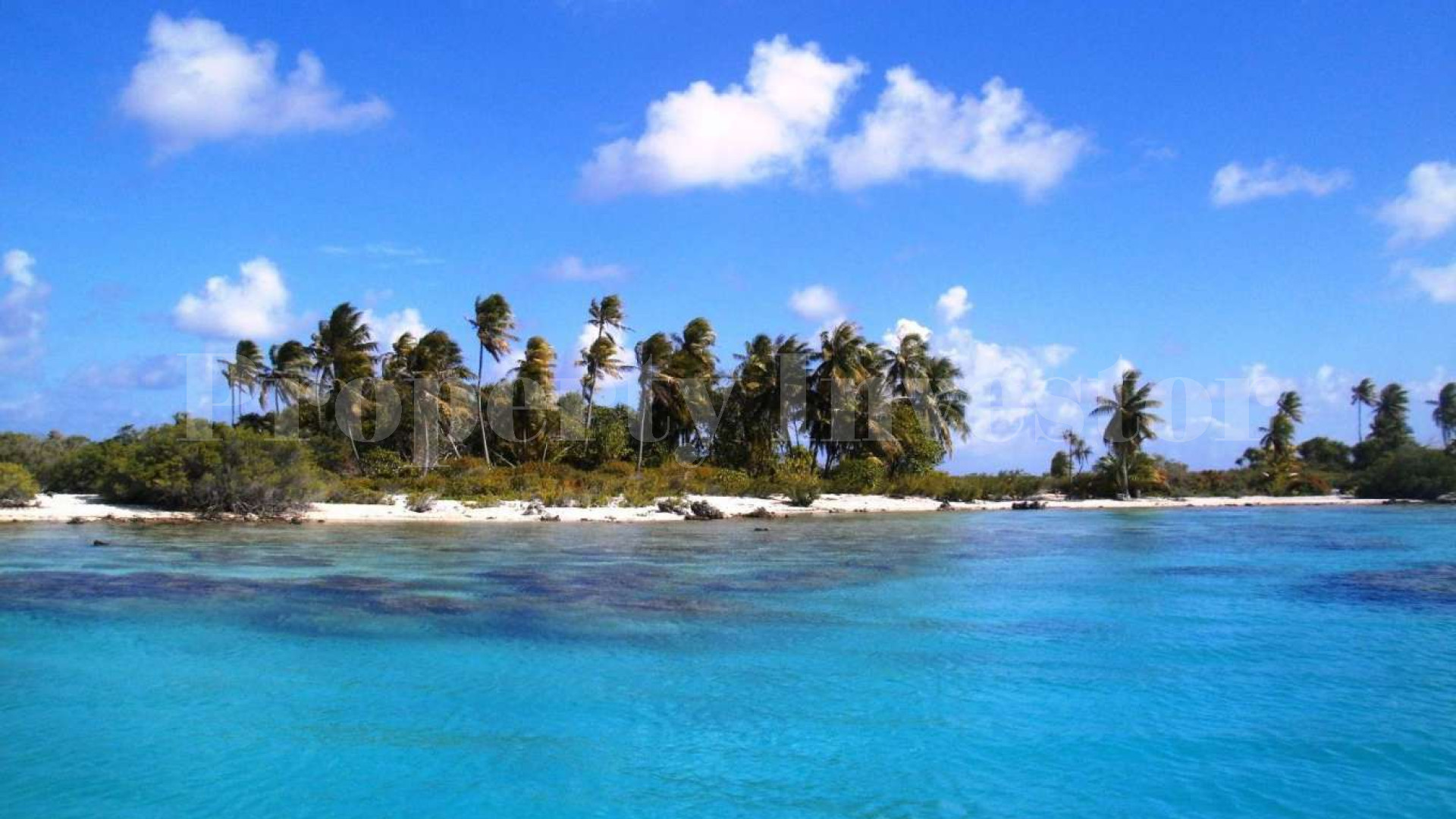 Stunning 1.4 Hectare Virgin Island for Sale in French Polynesia