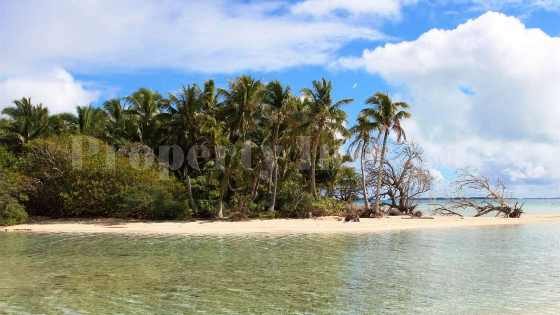 Beautiful 0.7 Hectare Virgin Island for Sale in French Polynesia