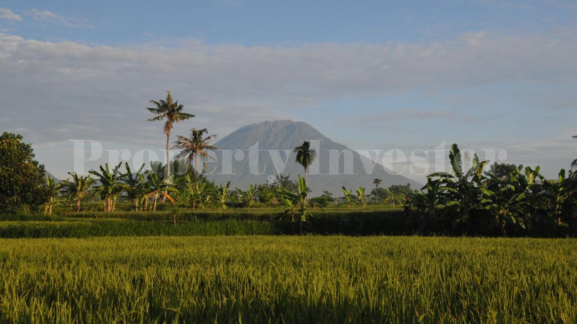 Fully Operational 9 Bungalow Beachfront Boutique Hotel for Sale in Candidasa, Bali