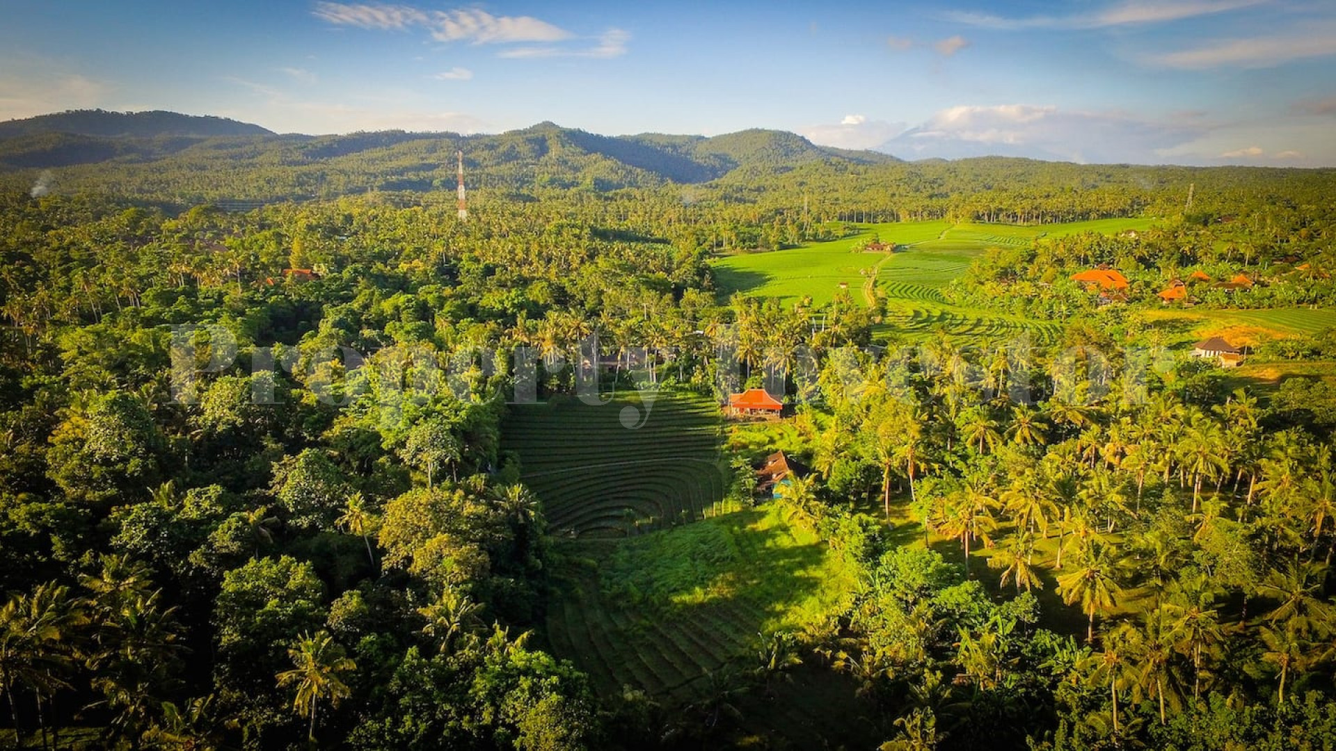 Stunning 4 Bedroom Modern Balinese Oceanfront Villa for Sale in Tabanan, Bali