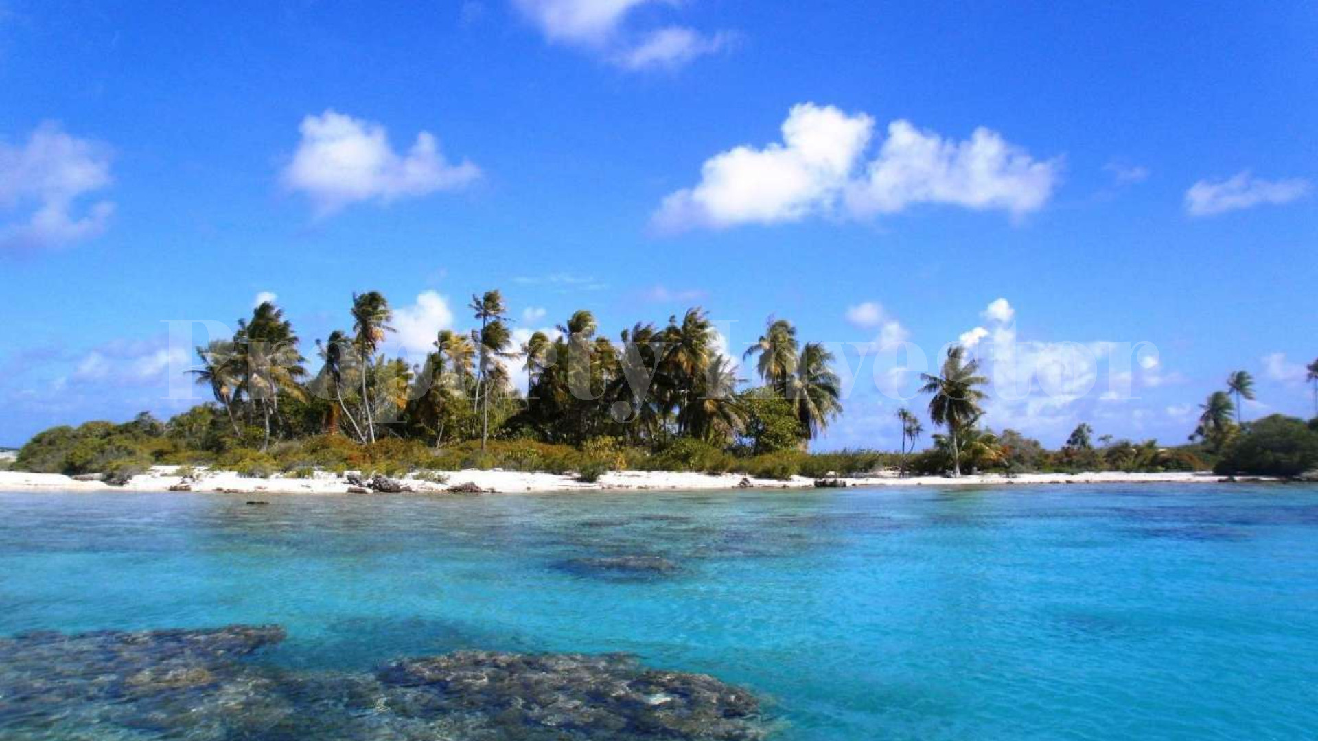 Stunning 1.4 Hectare Virgin Island for Sale in French Polynesia