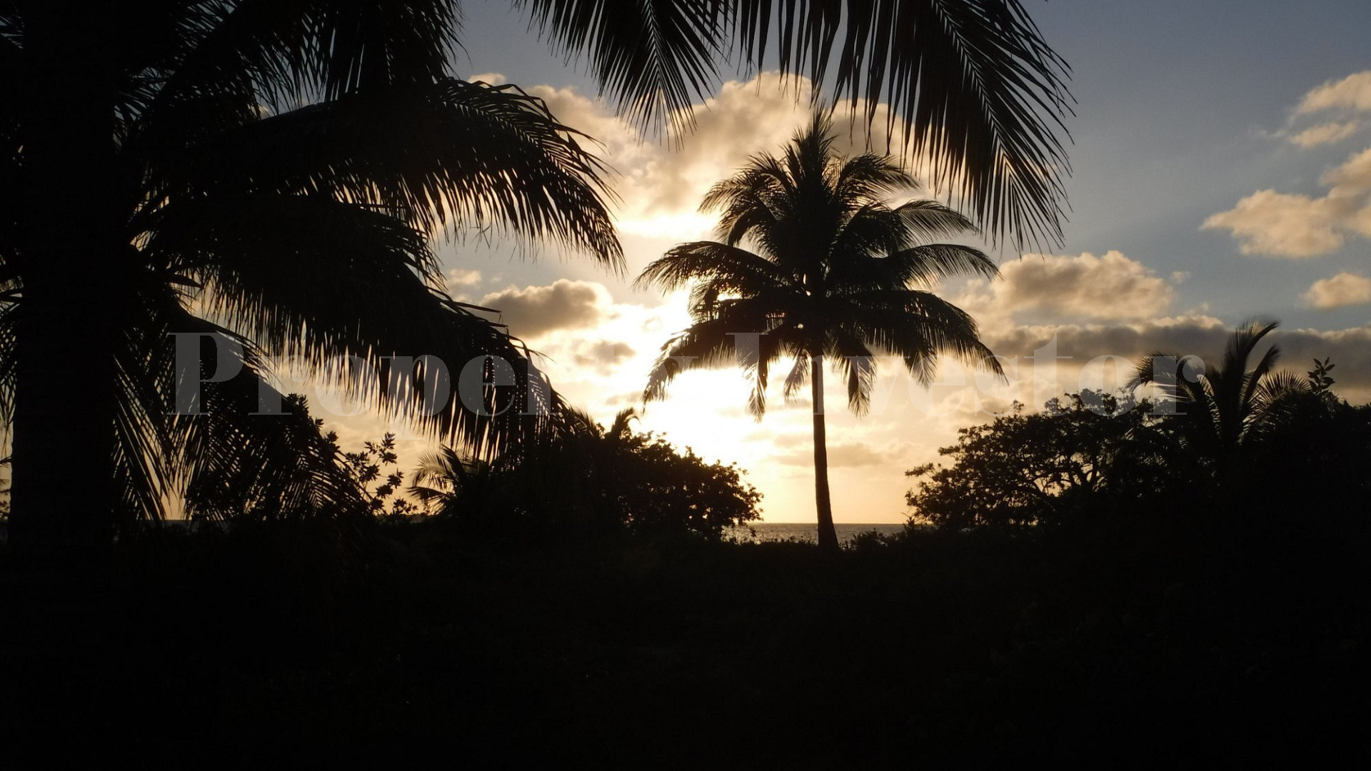 Private Island Resort & PADI 5-Star Gold Palm Dive Center for Sale on Glover's Reef Atoll, Belize