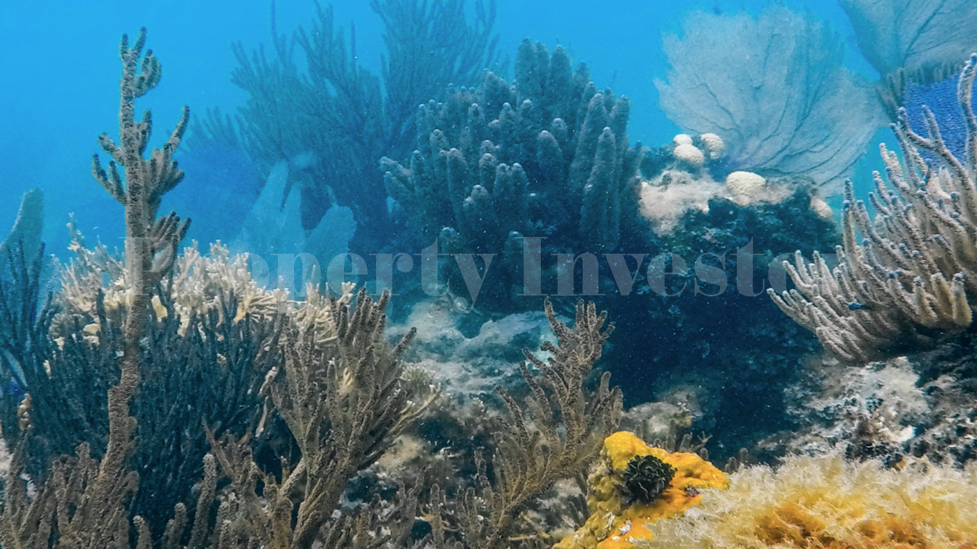 Long Coco Caye — The Premier Private Island Sanctuary on Offer in the Caribbean