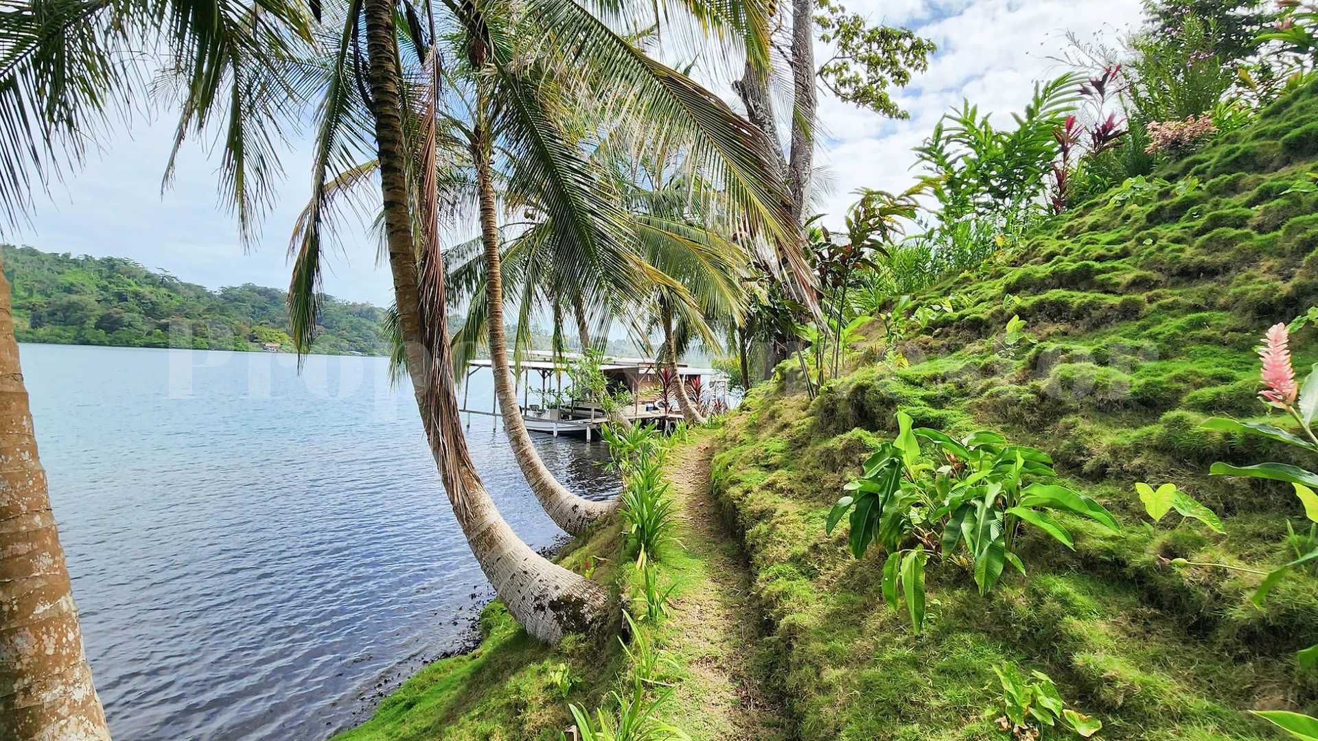 Off-Grid 3144 m² Private Tropical Eco Island in Bocas del Toro, Panama