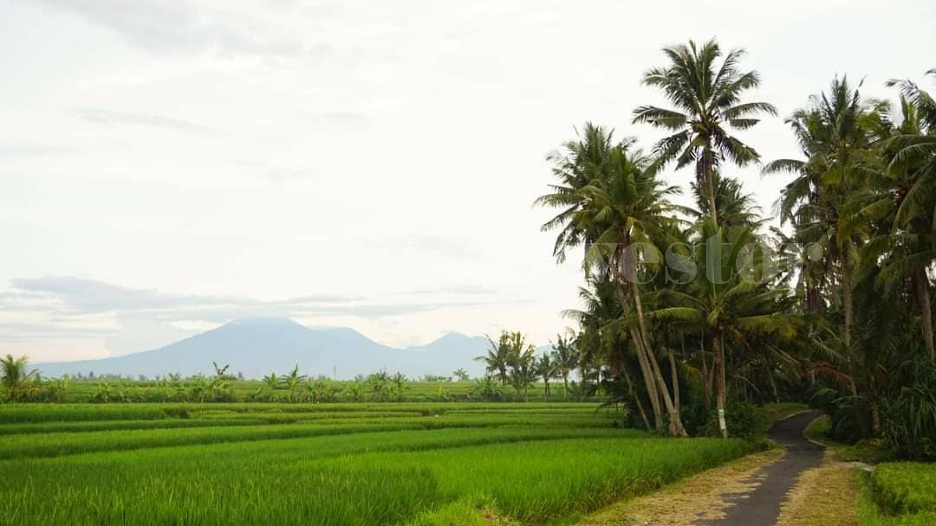 Peaceful 3 Bedroom Eco Retreat Near the Beach for Sale in Kedungu, Tabanan, Bali