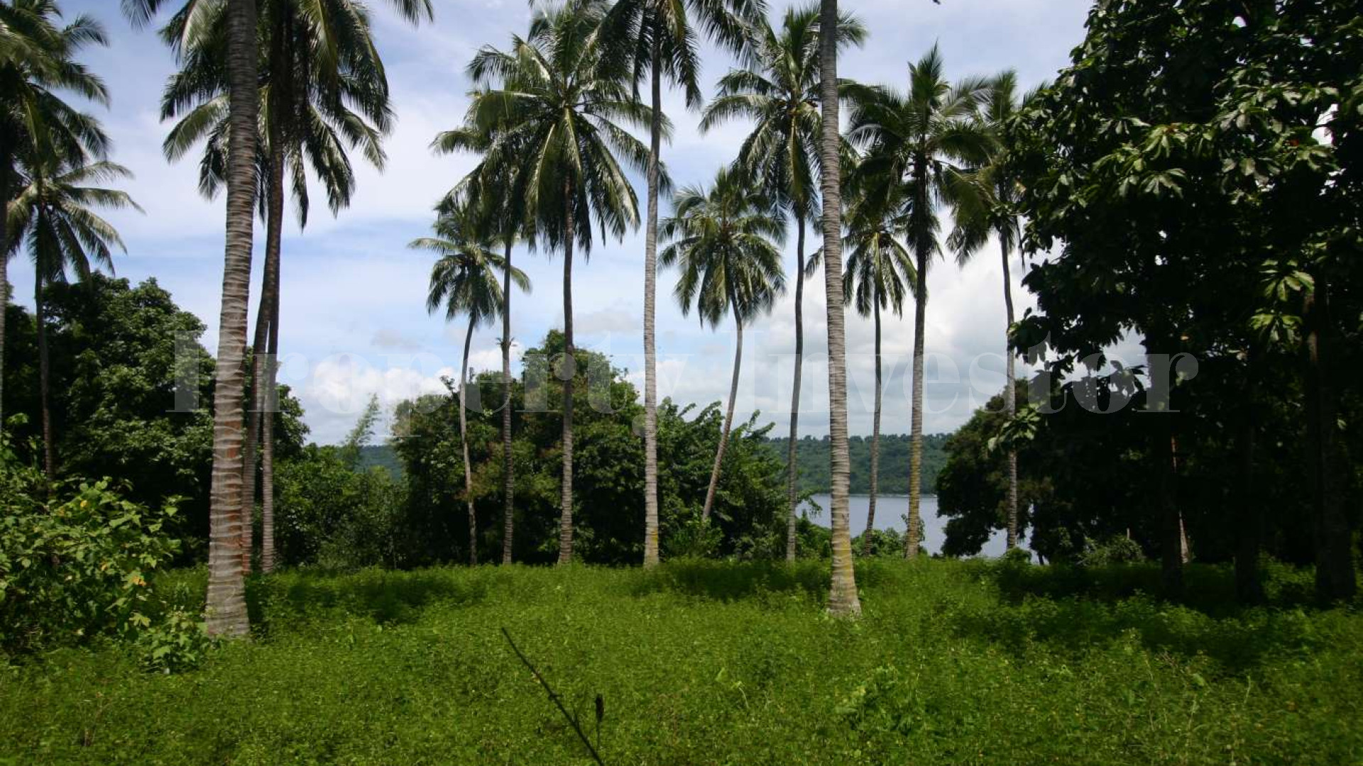 134 Hectare Virgin Island for Sale in Vanuatu