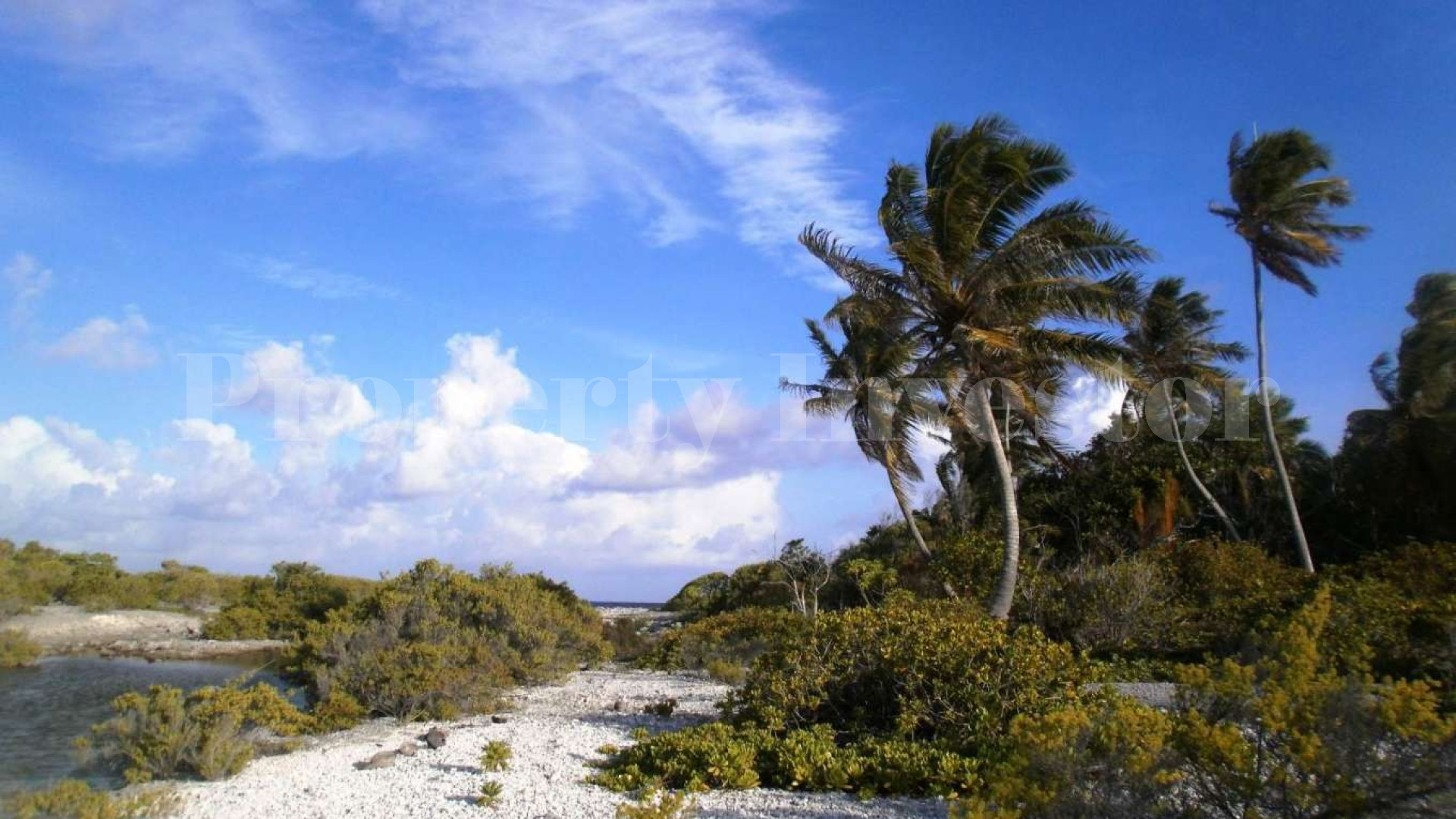 Stunning 1.4 Hectare Virgin Island for Sale in French Polynesia