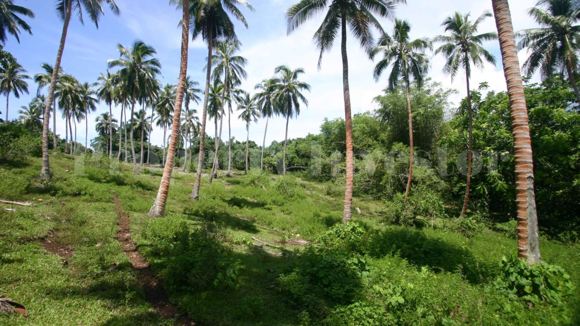 134 Hectare Virgin Island for Sale in Vanuatu