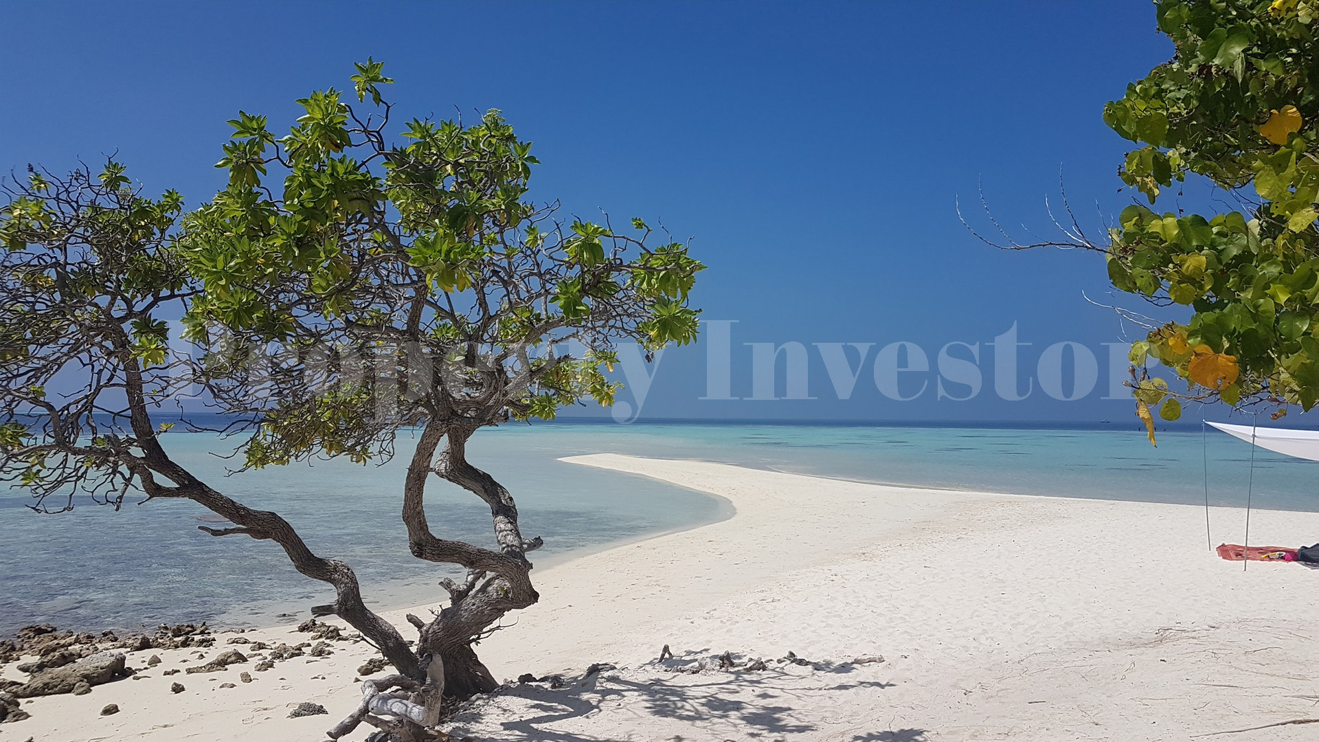 Gorgeous 4 Hectare Virgin Island with Ready Commercial Development Plan for Sale in the Maldives