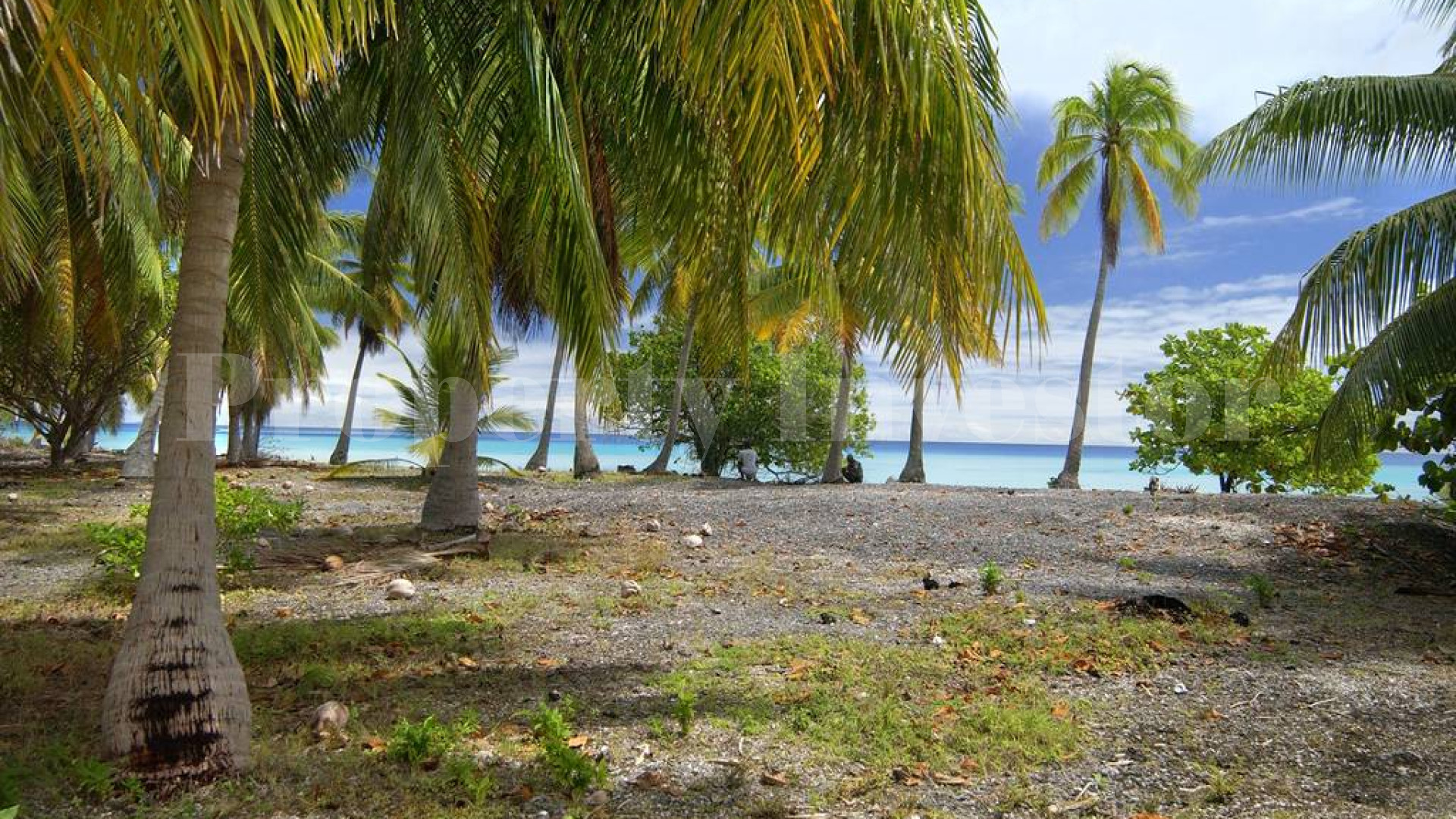 Private Virgin Island for Sale in French Polynesia