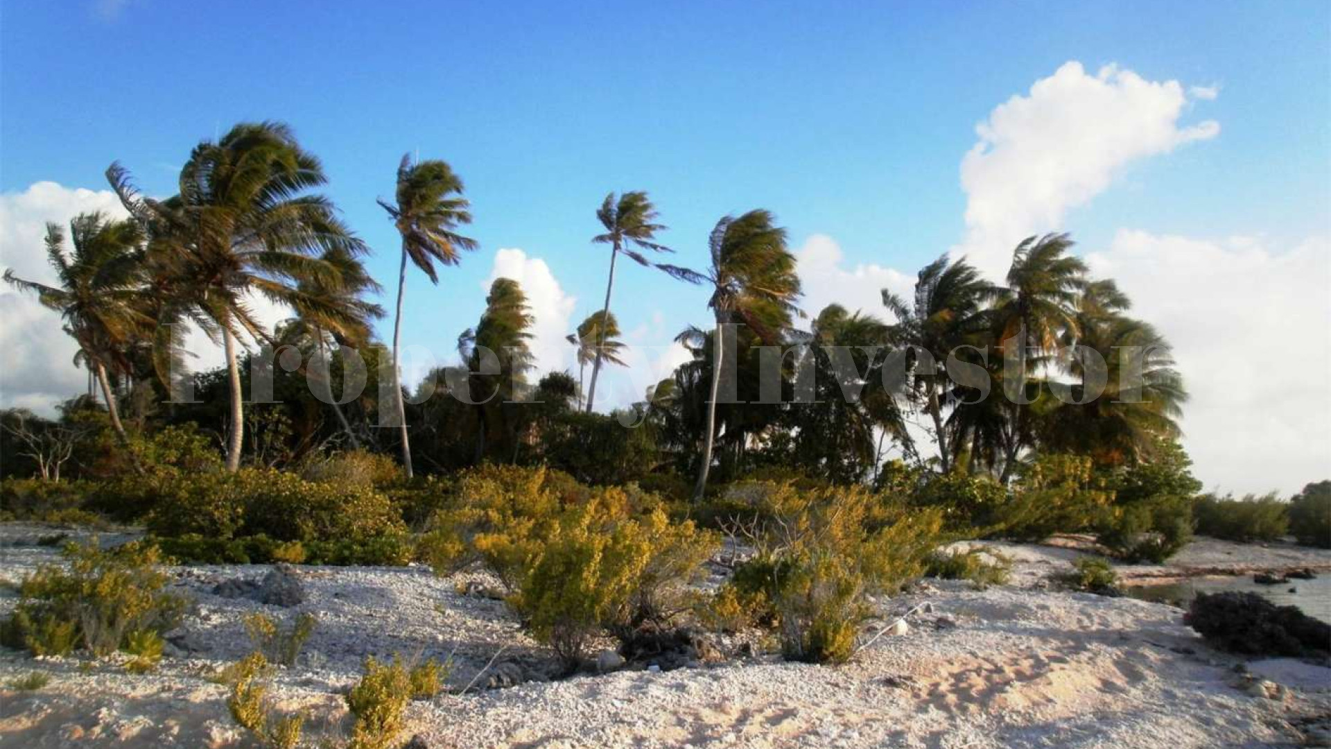 Stunning 1.4 Hectare Virgin Island for Sale in French Polynesia